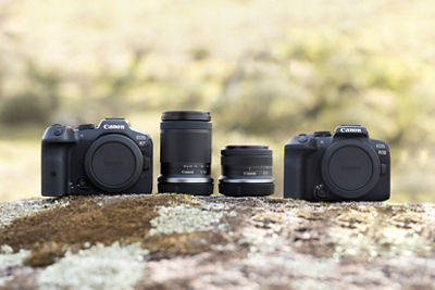 The Canon EOS R7 and Canon EOS R10, with two Canon lenses between them, on a large rock.